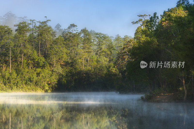 早上在泰国清迈的Baan Wat Chan，美丽的自然风景和宁静的湖景